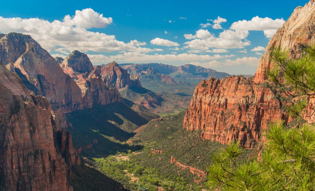 diffusion of digital ordering and crossing the chasm represented by the grand canyon